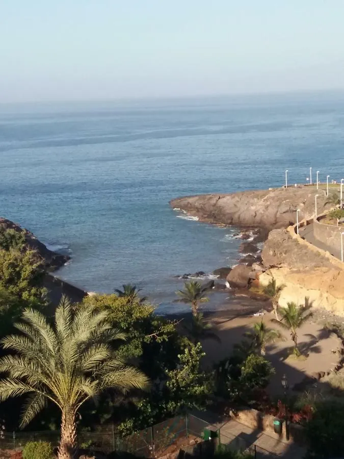 Apartment Aphotel Paraiso Del Sur: Seaside Retreat with City Center Convenience Costa Adeje