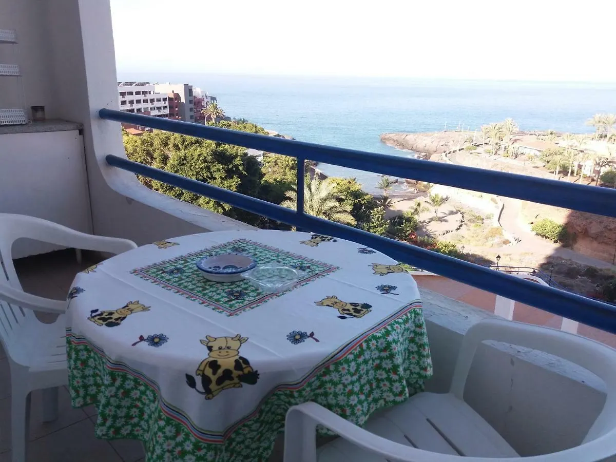 Aphotel Paraiso Del Sur: Seaside Retreat with City Center Convenience Costa Adeje  Spain